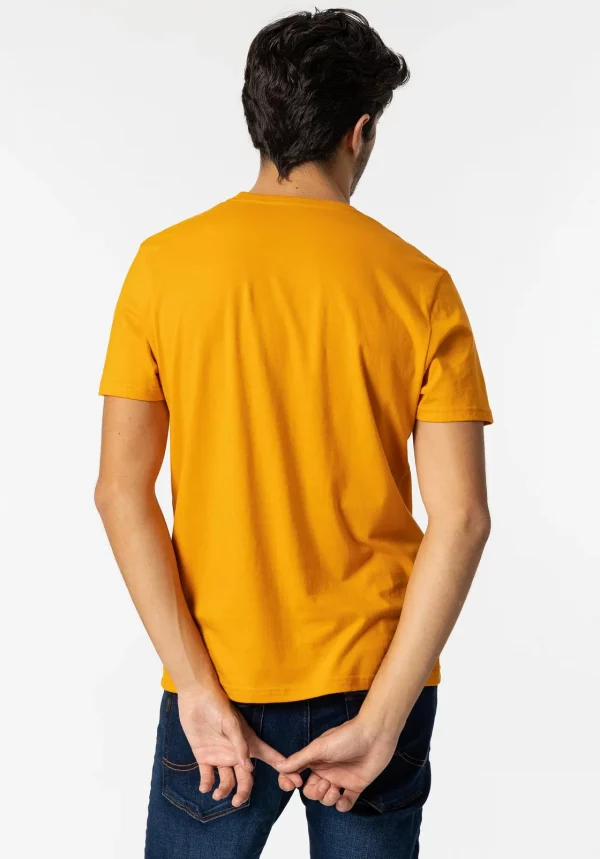04-camiseta-con-estampado-frontal-03